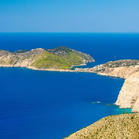 Skala Yellow Willa *